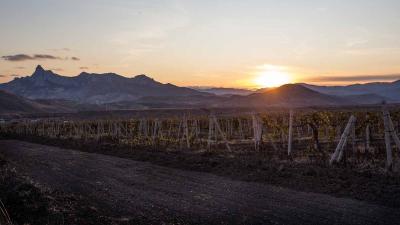 Прикрепленное изображение: IMG_9359 копия.jpg